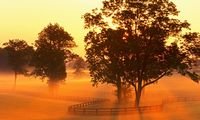 pic for sunrise on horse farm versailles kentucky 